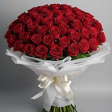 Букет 101 Красная роза Блэк Мэджик #REPLACE_PRED# Бородинской