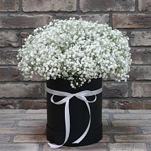 Цветочная композиция из Гипсофила в шляпной коробке в Бородинской