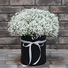 Цветочная композиция из Гипсофила в шляпной коробке в Бородинской