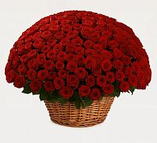 Премиум букет из: Розы в Бородинской